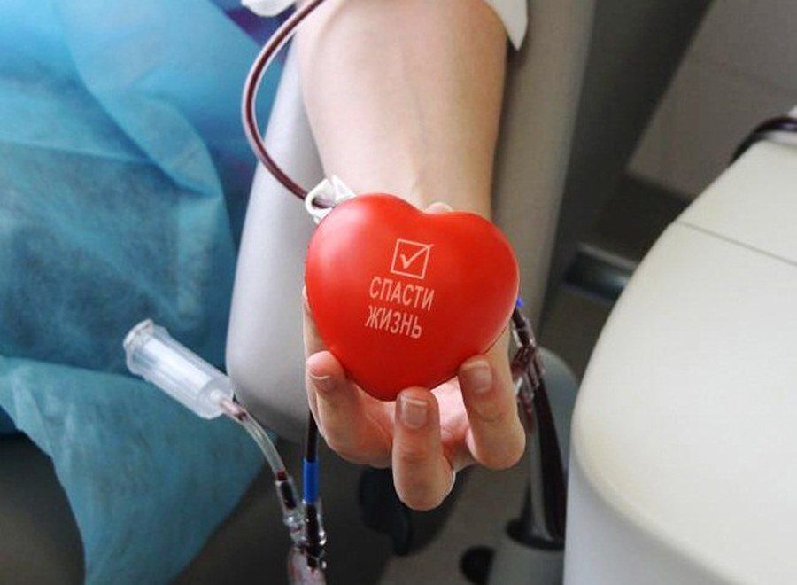 ���� ������ ����� � ��������� ������: 81 ������ �������� ���� �����!