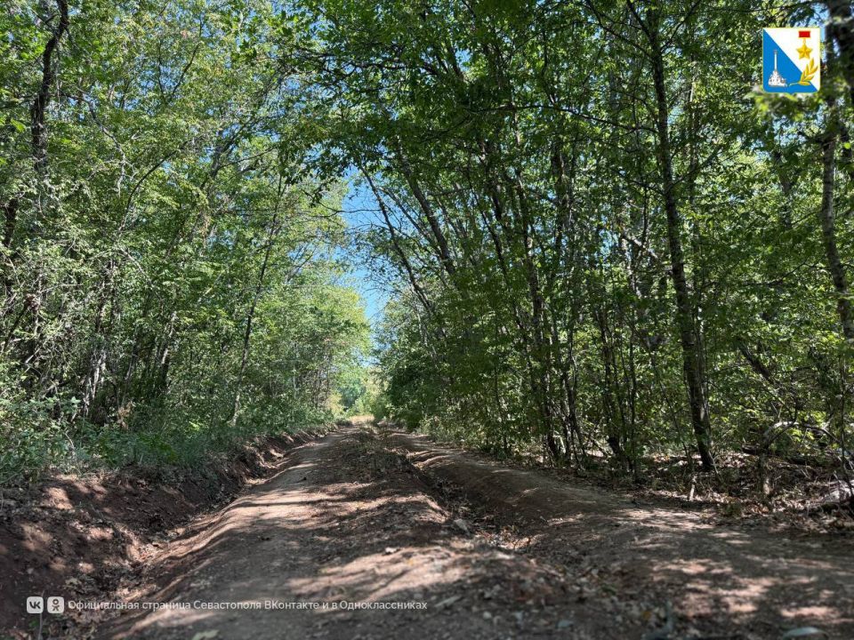 Заботимся о лесных территориях