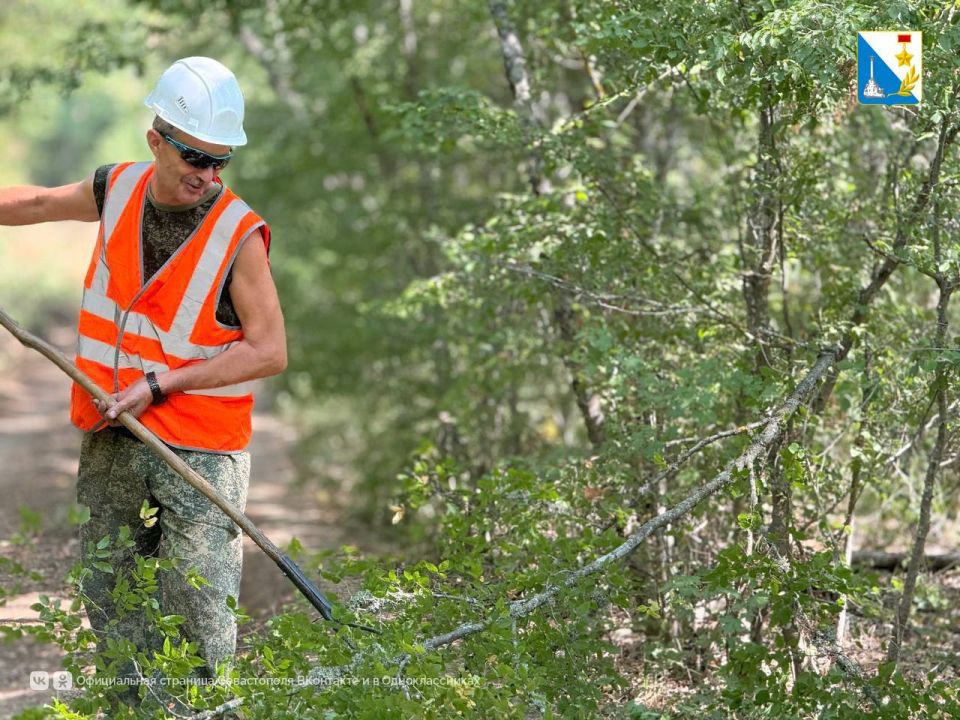 Заботимся о лесных территориях Заботимся о лесных территориях