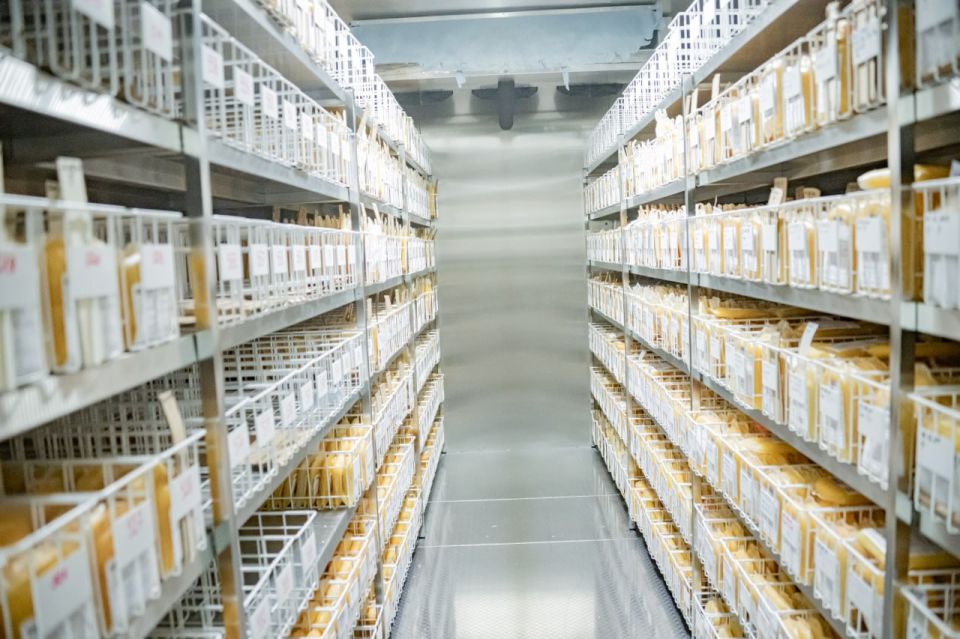 Михаил Развожаев: Севастопольскому Центру крови 60 лет! Михаил Развожаев: Севастопольскому Центру крови 60 лет!