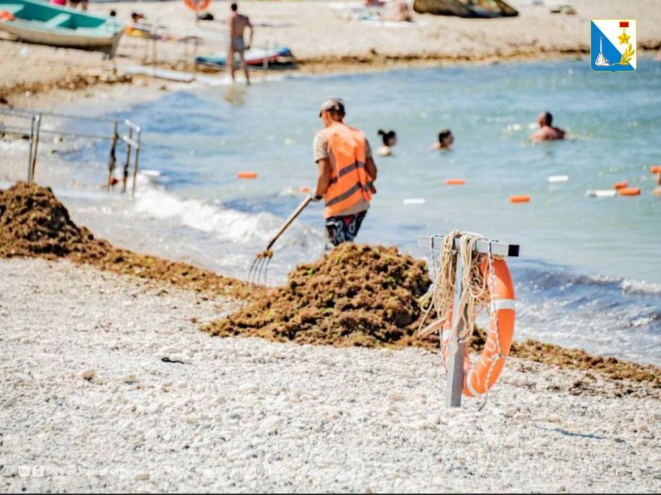 Следим за пляжами. По поручению Михаила Развожаева усилили контроль за содержанием городских пляжей