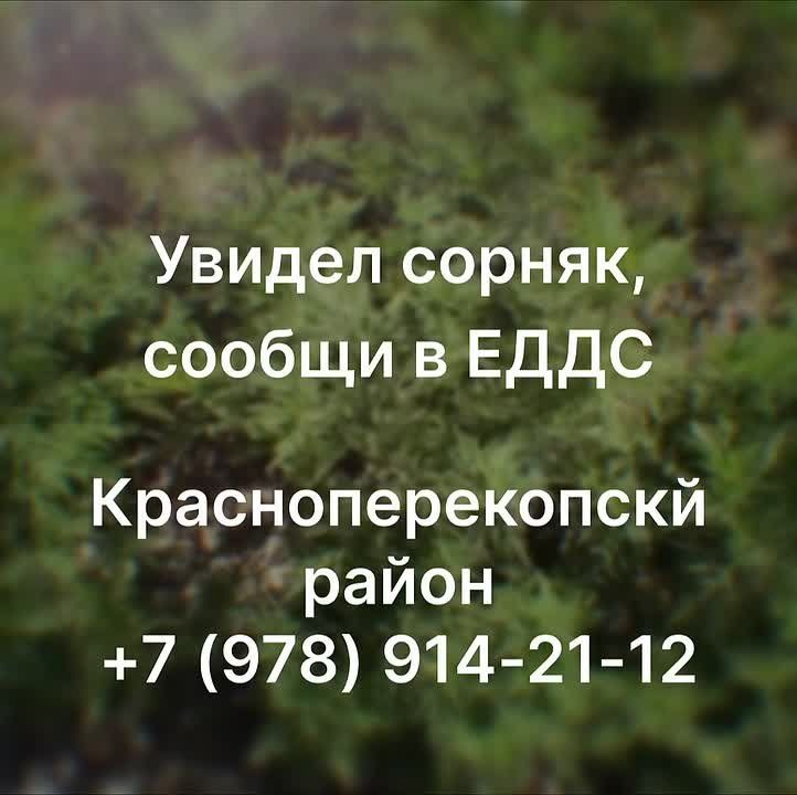 ������ �������: �������� ������� ������������������ ������!