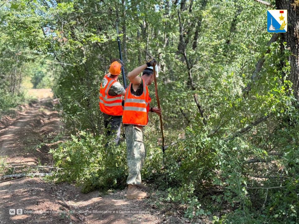 Заботимся о лесных территориях Заботимся о лесных территориях