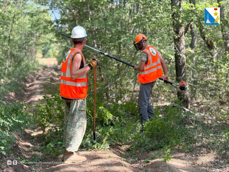 Заботимся о лесных территориях Заботимся о лесных территориях