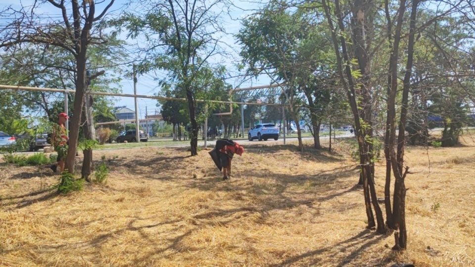 Коммунальные службы города продолжают работу по приведению в порядок не только придомовых территорий, но и межквартальных пространств Коммунальные службы города продолжают работу по приведению в порядок не только придомовых территорий, но и межквартальных пространств