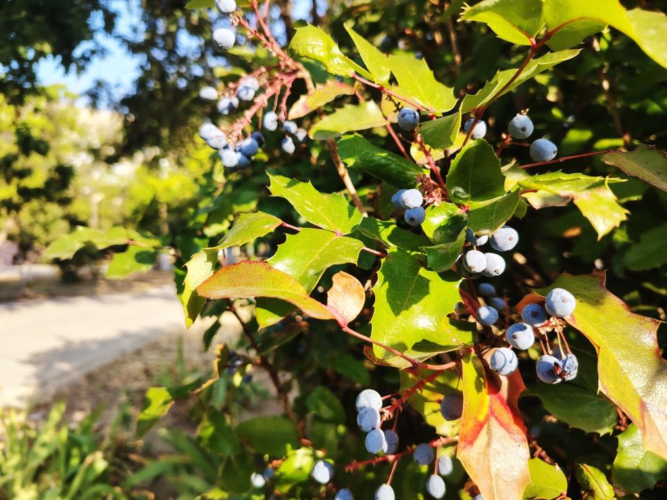 � ������ �����, �������!. ����� ��� ������������ ���� ����� ��� ��� ������ � ��������! ������ ��� �� ������ �������� ����������, ������ ������� � ������� � ������ ������������ ���������� ��������� �������� �����! ������� �...