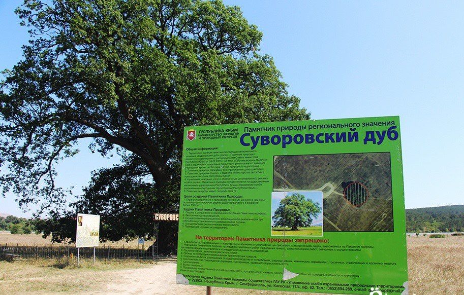 ������� �������� � ������� ��������!