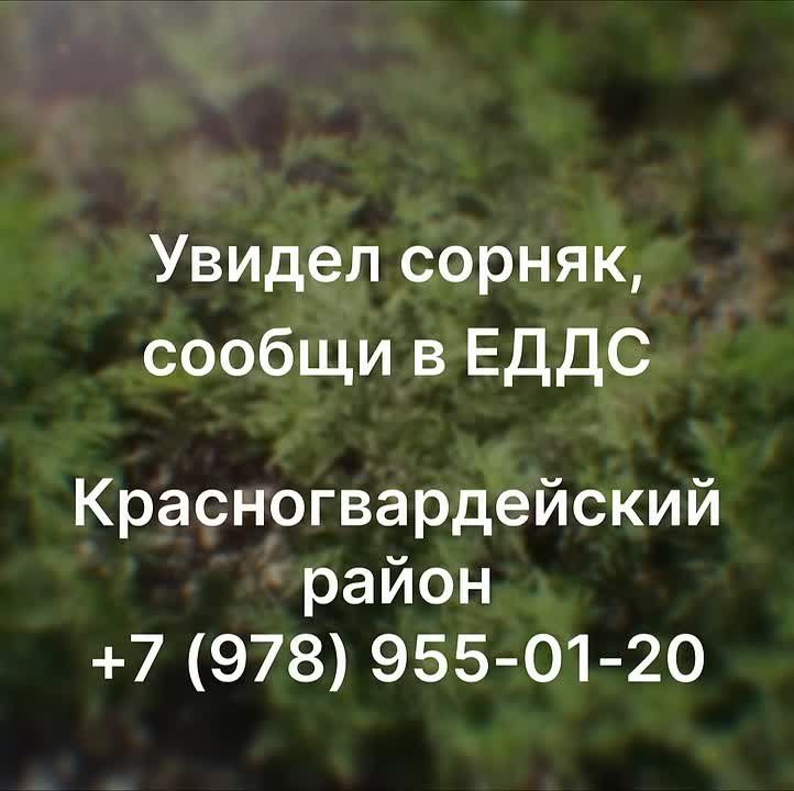 ������� ��������: ���� - ���� �������� �������� �������������� � ������ �� ����� ������� ������ ��������, ���������� ������� ������������� ������� � ������ �����