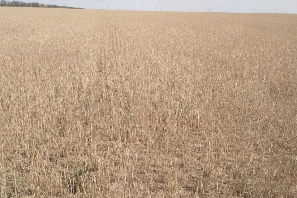 ������ �������: ������ ������� �������� �������������� ������������������ ������: ������� �� �����