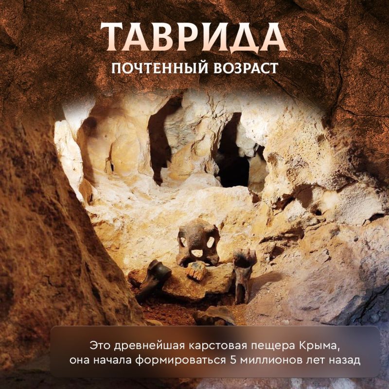 Многие творения крымской природы можно увидеть невооружённым глазом, другие же открывают свою красоту тем, кто приложит немного больше усилий Многие творения крымской природы можно увидеть невооружённым глазом, другие же открывают свою красоту тем, кто приложит немного больше усилий