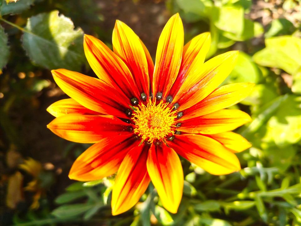 � ������ �����, �������!. ����� ����������� �������� ��� �� ������ ����� ������, �� � ����� �����������