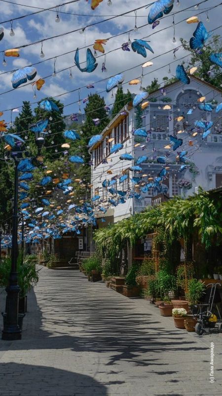 ������ / ����� ������ �� ��� �������