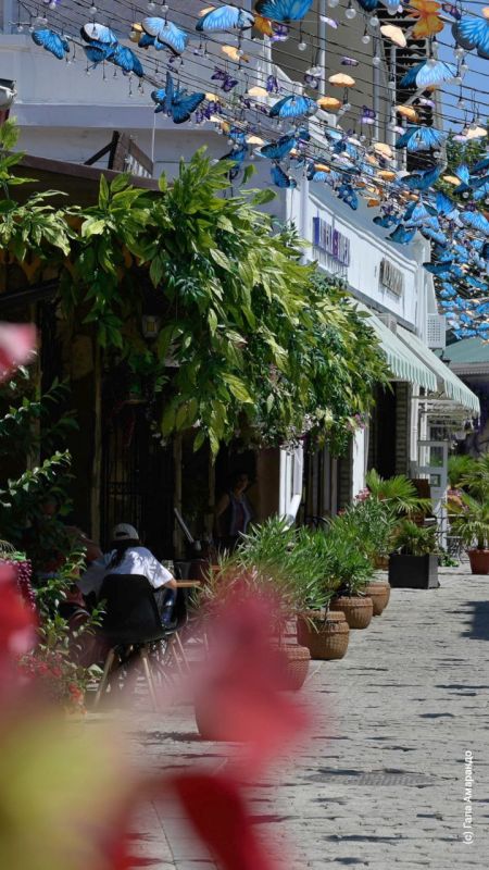 ������ / ����� ������ �� ��� �������