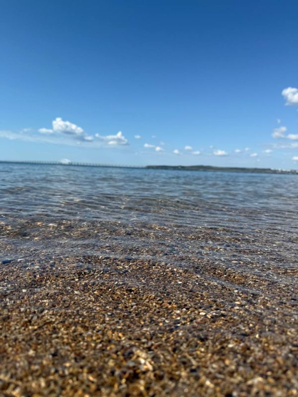 ����������� ������� ���� �� �������� ������, 5 �������