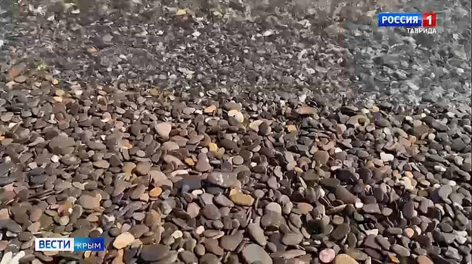 � ������ ��������� ��������������� ����� ������������� ��������