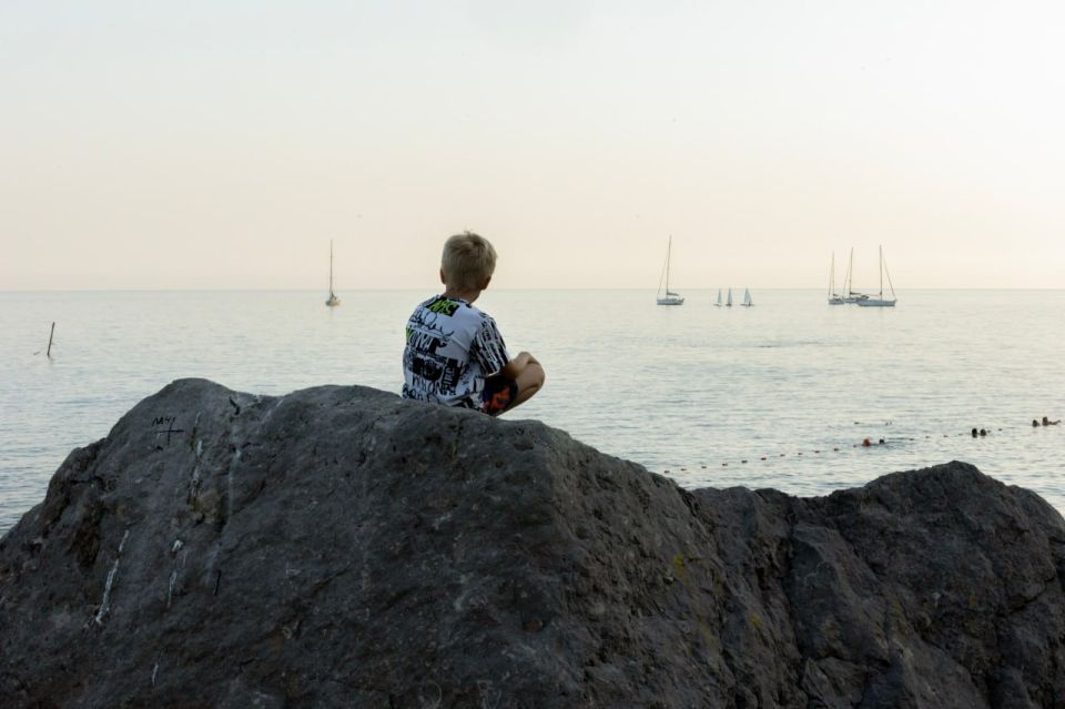  :            ,        ,     