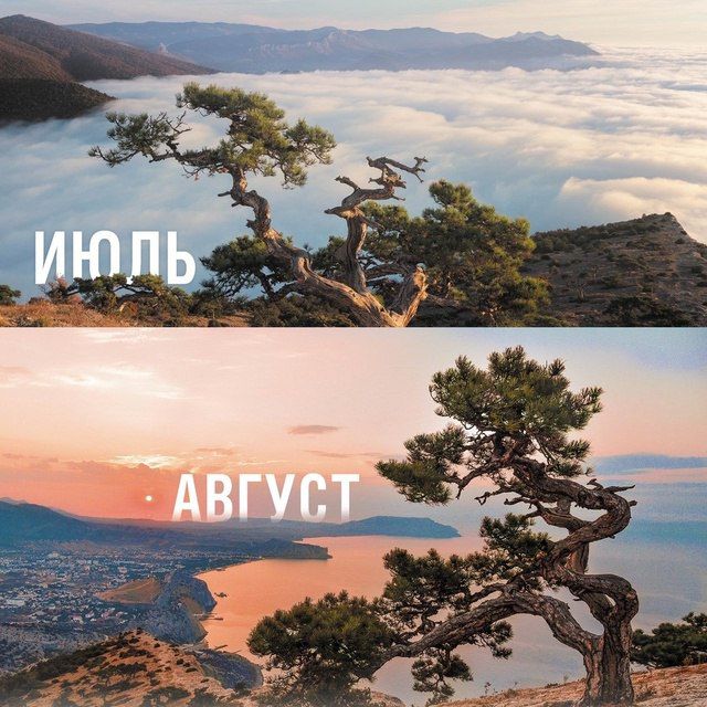 Ольга Шевцова: Если вы фотограф – ни в коем случае не пролистывайте этот пост Ольга Шевцова: Если вы фотограф – ни в коем случае не пролистывайте этот пост