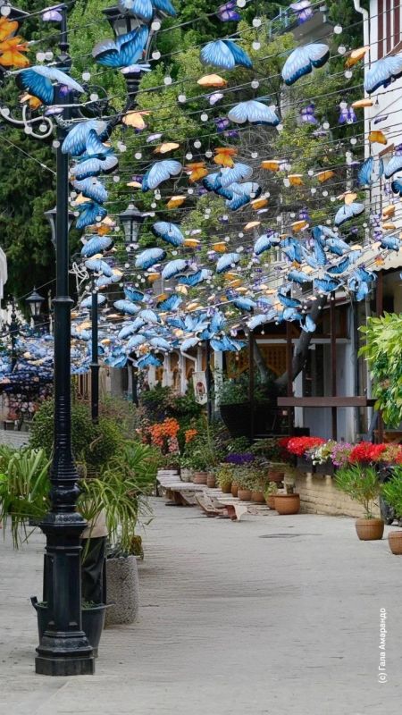 ������ / ����� ������ �� ��� �������