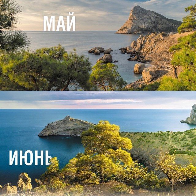 Ольга Шевцова: Если вы фотограф – ни в коем случае не пролистывайте этот пост Ольга Шевцова: Если вы фотограф – ни в коем случае не пролистывайте этот пост