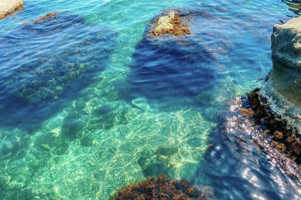 � ������ ������� ������������� �������� � ������� ����: ������ ����� ����� ���������