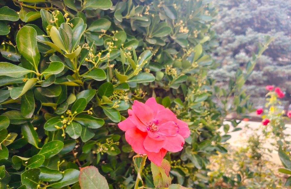 � ������ �����, �������!. ������ ��� �����������, �����������, ������ ���! ����������� ������ � �������� ����������! ������� � �������� ��������, t + 25 - +32 , ����� ������, ���������