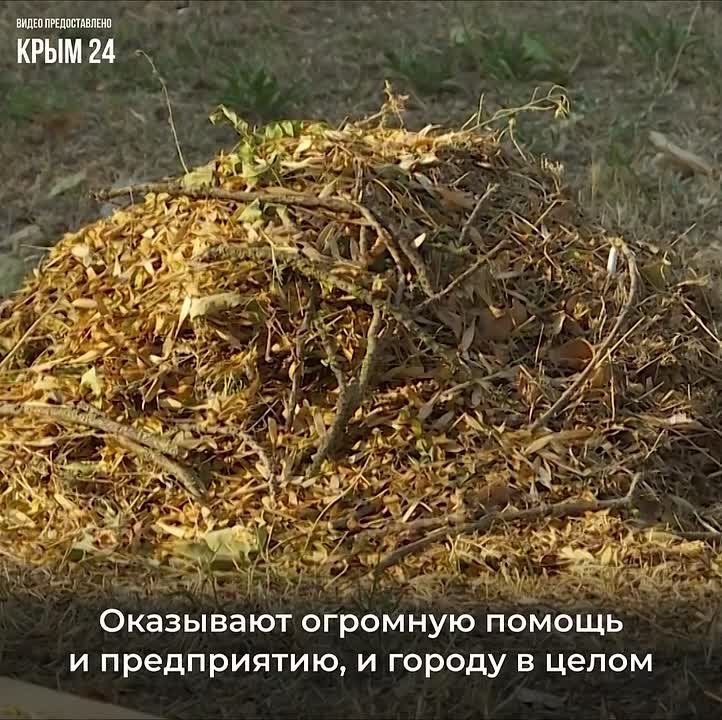 ����� ������ ��������� ������������ ������ ��������� ���������������