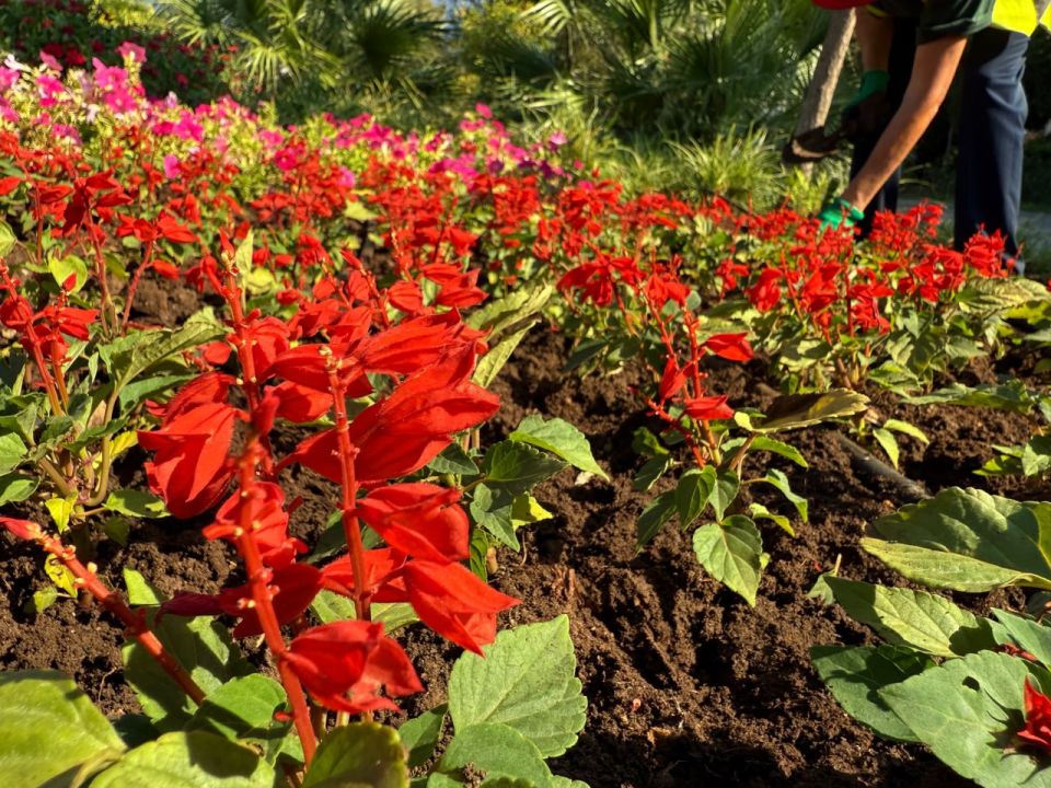 ����� ��������: �������� � ��������������� ���� �������� ����� ������������� ��� ������