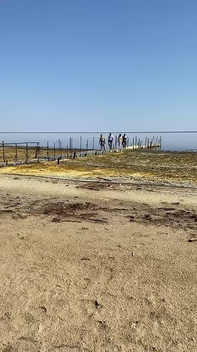 ���� �������: � ����� � ������� ������������ ������� ���������� ����������������� ������ ������� � �������� ����������� �����������, ��� ������������ ������������ ��������� ���������� �������