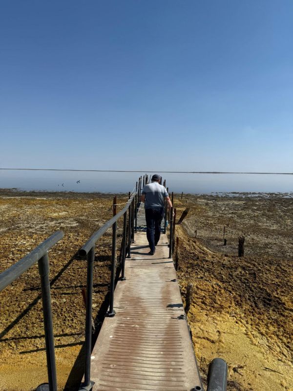 ���� �������: ��������� � ��������� �������� � ��������� �������� ���������� ���� ������ �������� ��������� ������ ������������� ��������������� ����� ���������� �� ���������� ������������ ������� � ��������