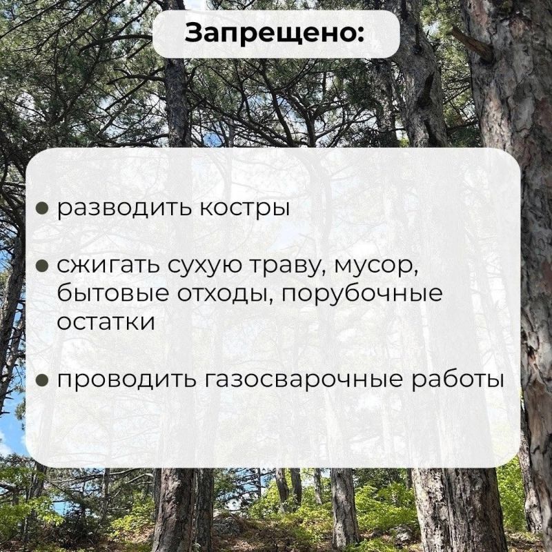 В Крыму продлили ограничение на посещение лесов В Крыму продлили ограничение на посещение лесов