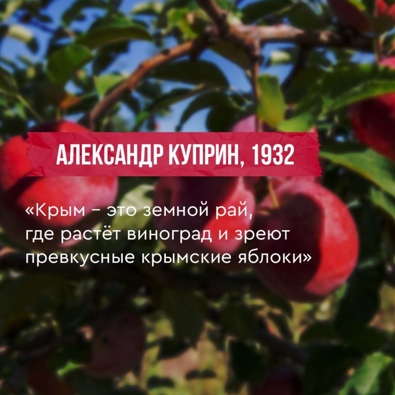 Татьяна Манежина: Крым наполняет душу ощущением счастья и любви, безмятежности и творческого подъёма… Татьяна Манежина: Крым наполняет душу ощущением счастья и любви, безмятежности и творческого подъёма…
