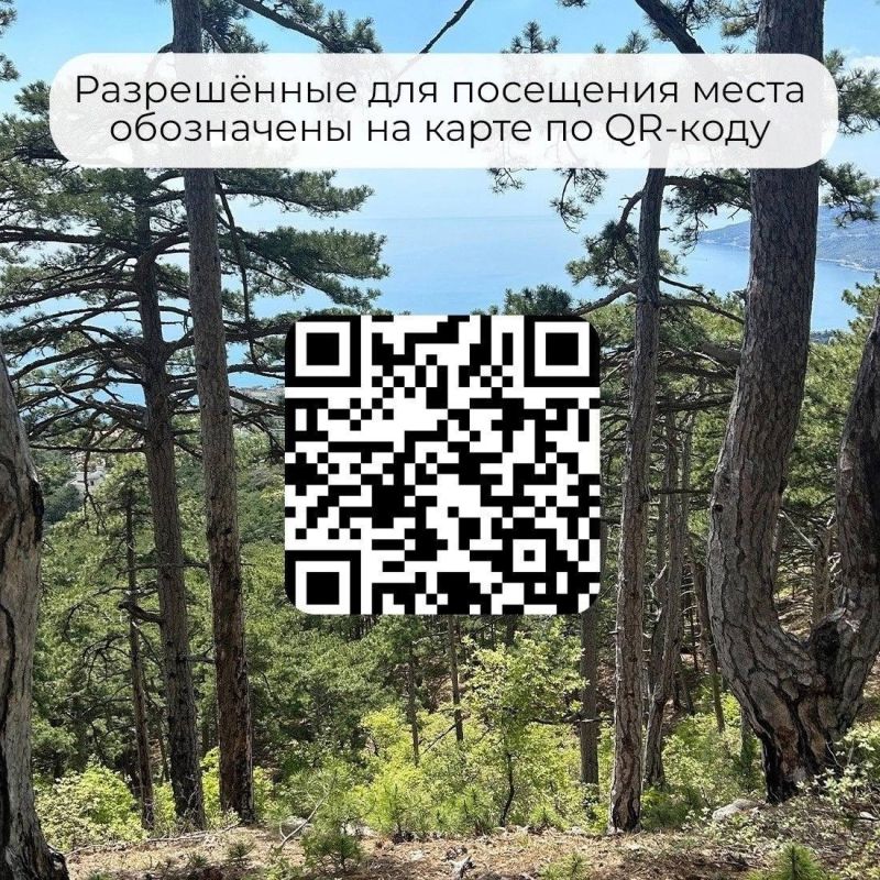 В Крыму продлили ограничение на посещение лесов В Крыму продлили ограничение на посещение лесов