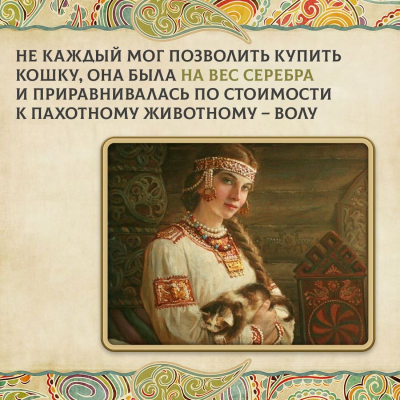 Сегодня во многих семьях есть кошки Сегодня во многих семьях есть кошки