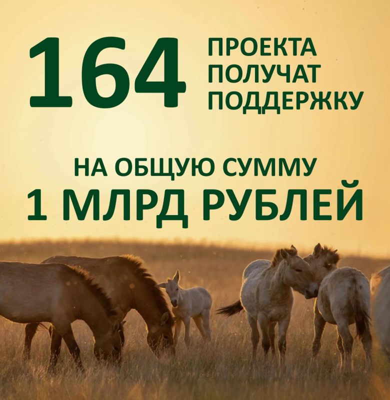 Подведены итоги первого конкурса грантов Президента на реализацию экологических проектов Подведены итоги первого конкурса грантов Президента на реализацию экологических проектов