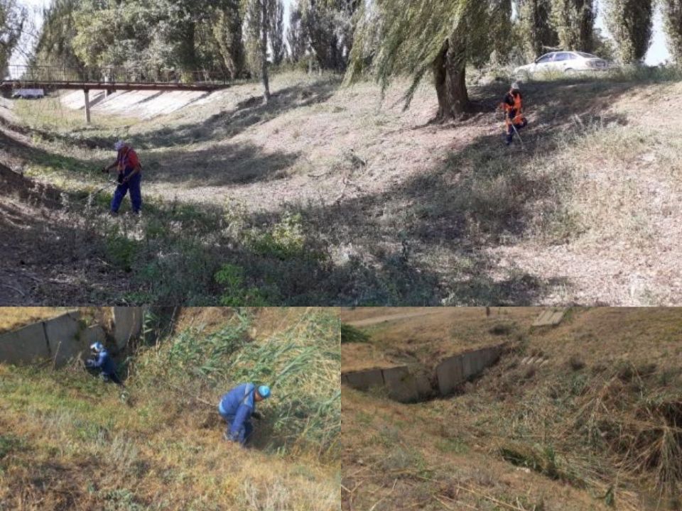 ��� �� ���������������� ���������� ���������� �������� - ������� ����� �� �������� ���������� �������������� ��������������� ������������� ����