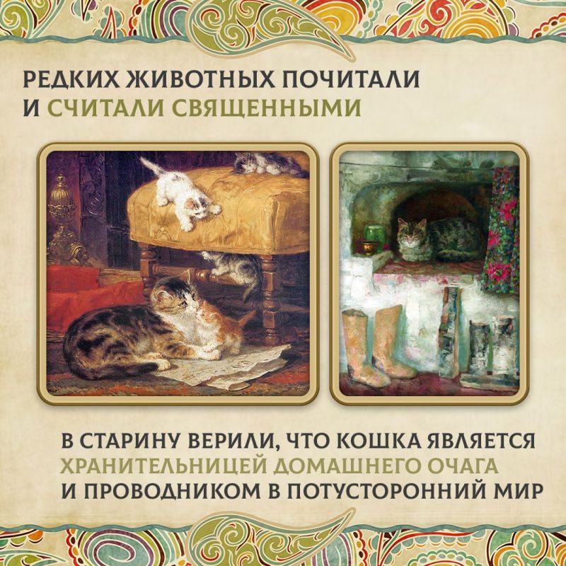 Сегодня во многих семьях есть кошки Сегодня во многих семьях есть кошки