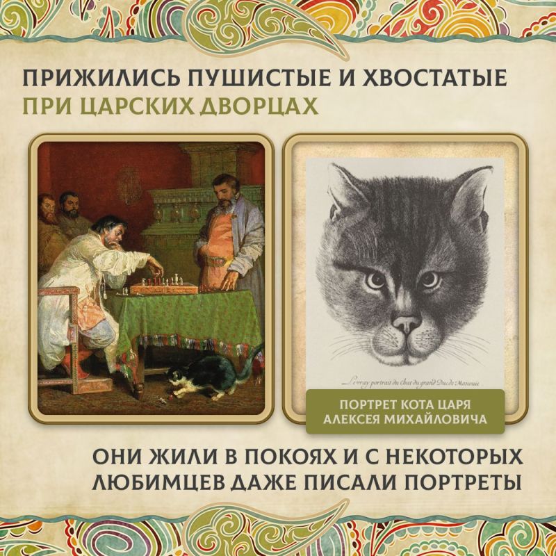 Сегодня во многих семьях есть кошки Сегодня во многих семьях есть кошки