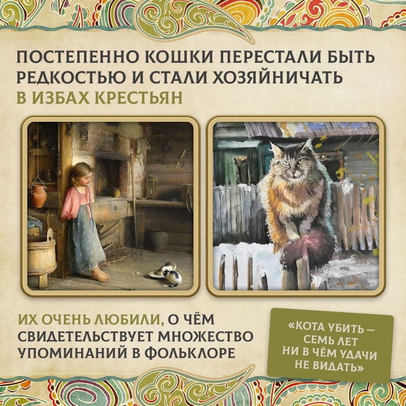 Сегодня во многих семьях есть кошки Сегодня во многих семьях есть кошки