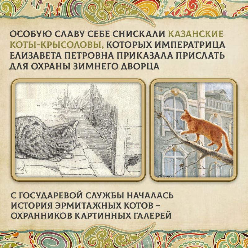 Сегодня во многих семьях есть кошки Сегодня во многих семьях есть кошки