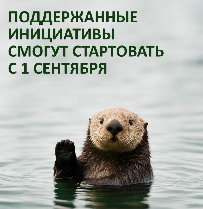 Подведены итоги первого конкурса грантов Президента на реализацию экологических проектов Подведены итоги первого конкурса грантов Президента на реализацию экологических проектов