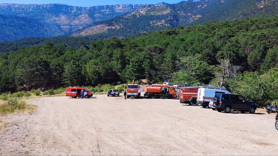 ����� ��������: ������������ ������ ����� �� ������� ������ ��� �����������