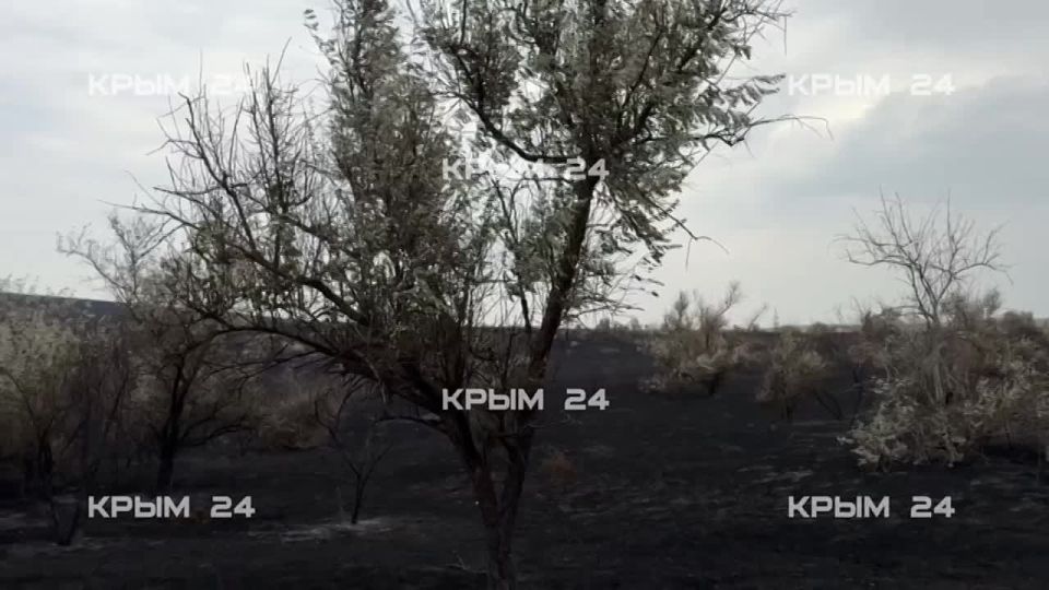 � ����������� ������ �������� �������� ������� ����� �����