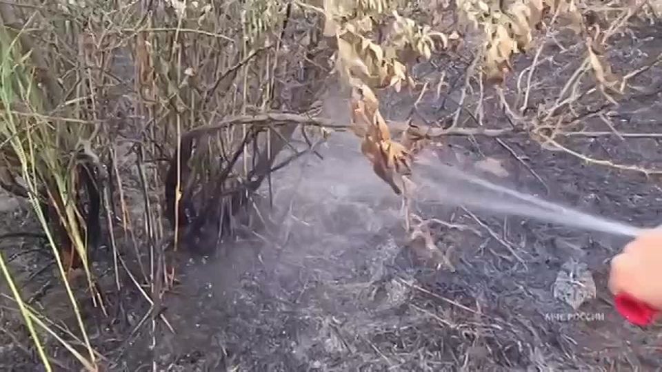 ������� ����� � ����������� ������ ��������� ��������