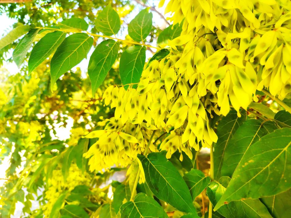 � ������ �����, �������!. ������� ����������� � ������, � ����� ��� ������ ������� �� ��������! ������ ��� ������ ���������, ������� ��������, ������� ������� ���� ����� � ������ �������� �����!