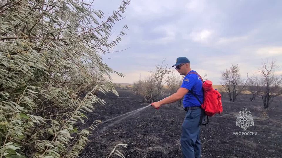 � ����������� ������ ������������ ����� �� ������� 450 ��������