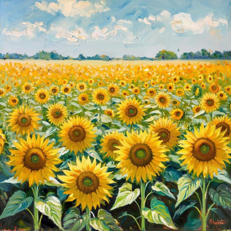 ������� ������ � ����� �� 11 �������