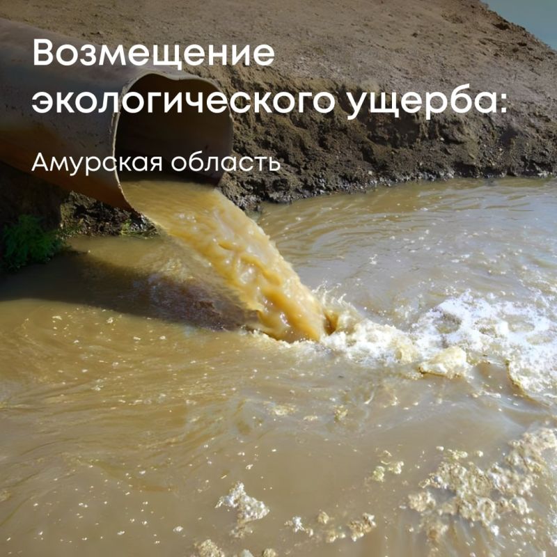 В селе Кустанаевка наши инспекторы обнаружили незаконный слив жидких бытовых отходов