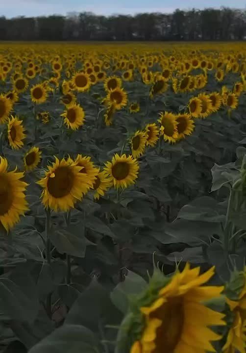 � ����� ���������� ������ �������������