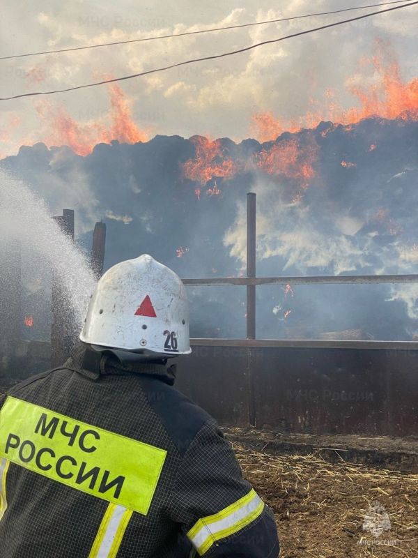 Более 60 возгораний с начала недели Более 60 возгораний с начала недели