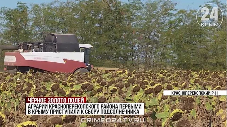 �׸���� ������ �������� �����: �������� �� ������ �� ������ �������������